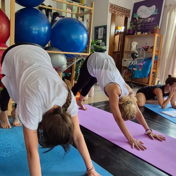 Instructorado en Parinama Yoga